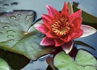 10-Day Water Fast: Benefits, Dangers, and Results 10-Day Water Fast: Benefits, Dangers, and Results