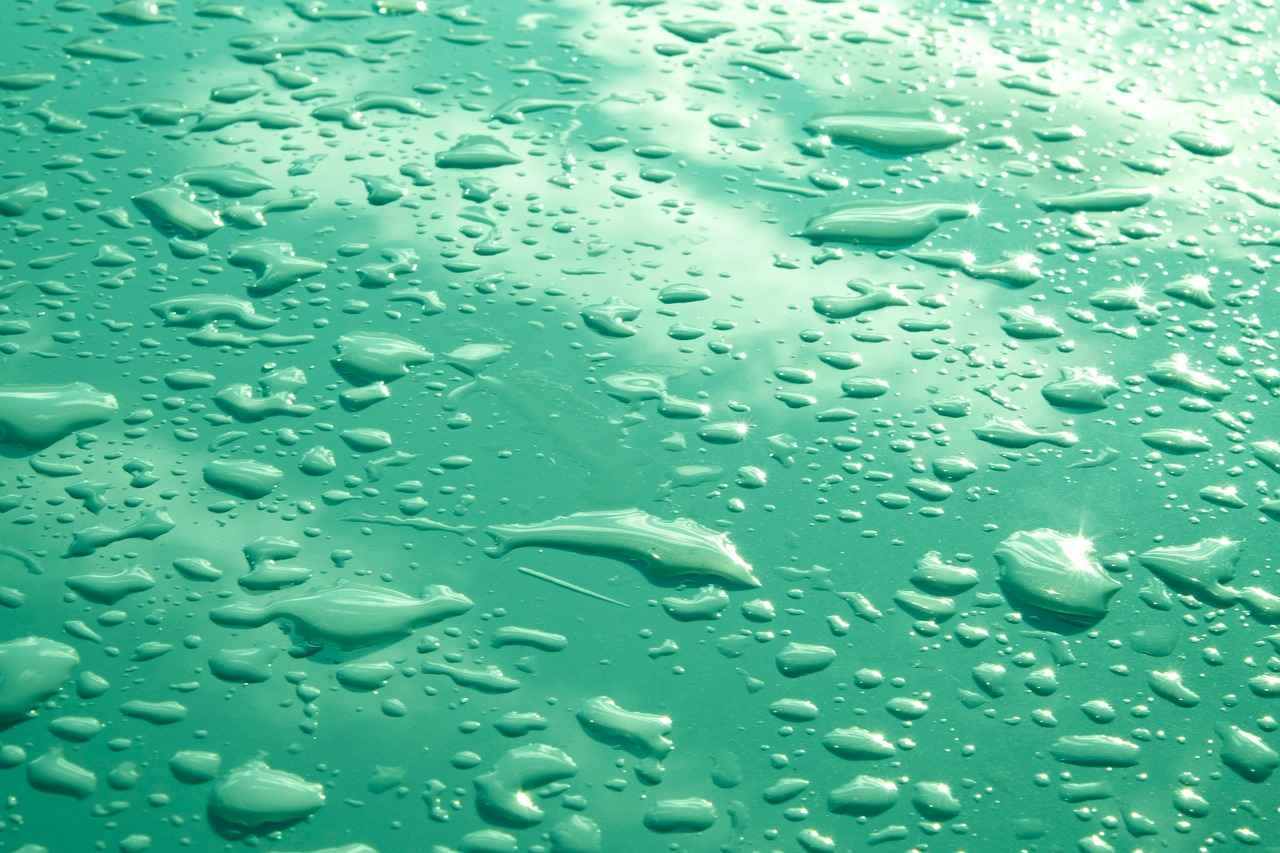 Preparing for a 10-Day Water Fast