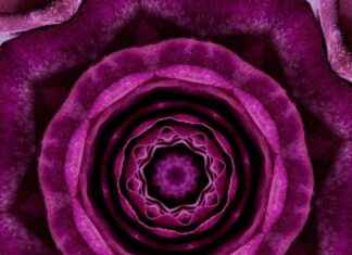 10 Upcycled DIY Room Divider Ideas That Cost Almost Nothing 10 Upcycled DIY Room Divider Ideas That Cost Almost Nothing