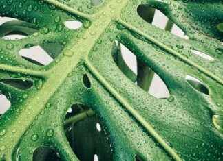 123 Free Movie Online Watch: Best Genres in 2025 123 Free Movie Online Watch: Best Genres in 2025