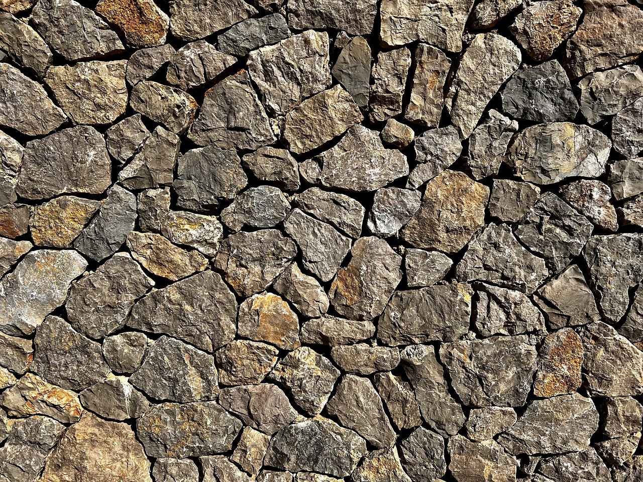 123 Free Movies You Should Watch Before They’re Gone 1 Why Free Movies Are Worth Watching