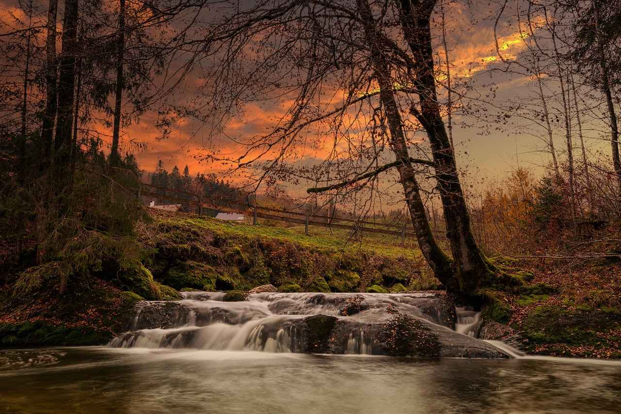 Streaming Quality and Performance