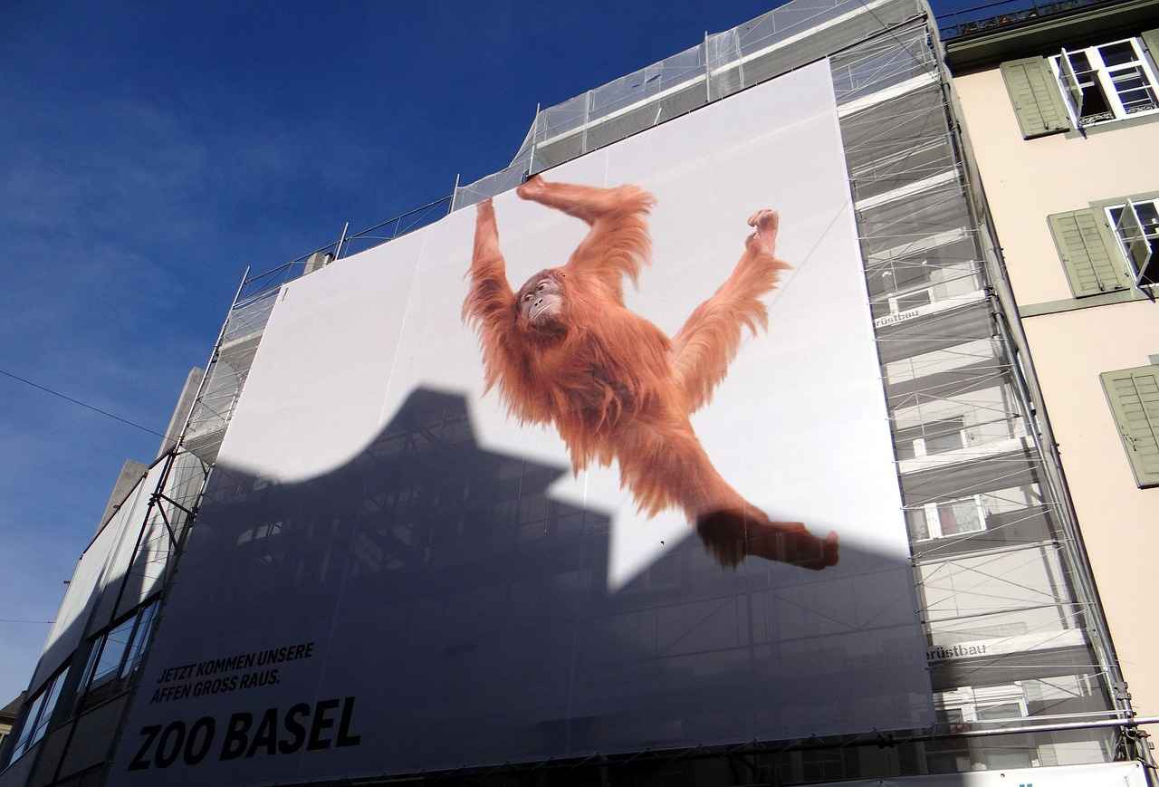 VPNs and Their Role in Streaming