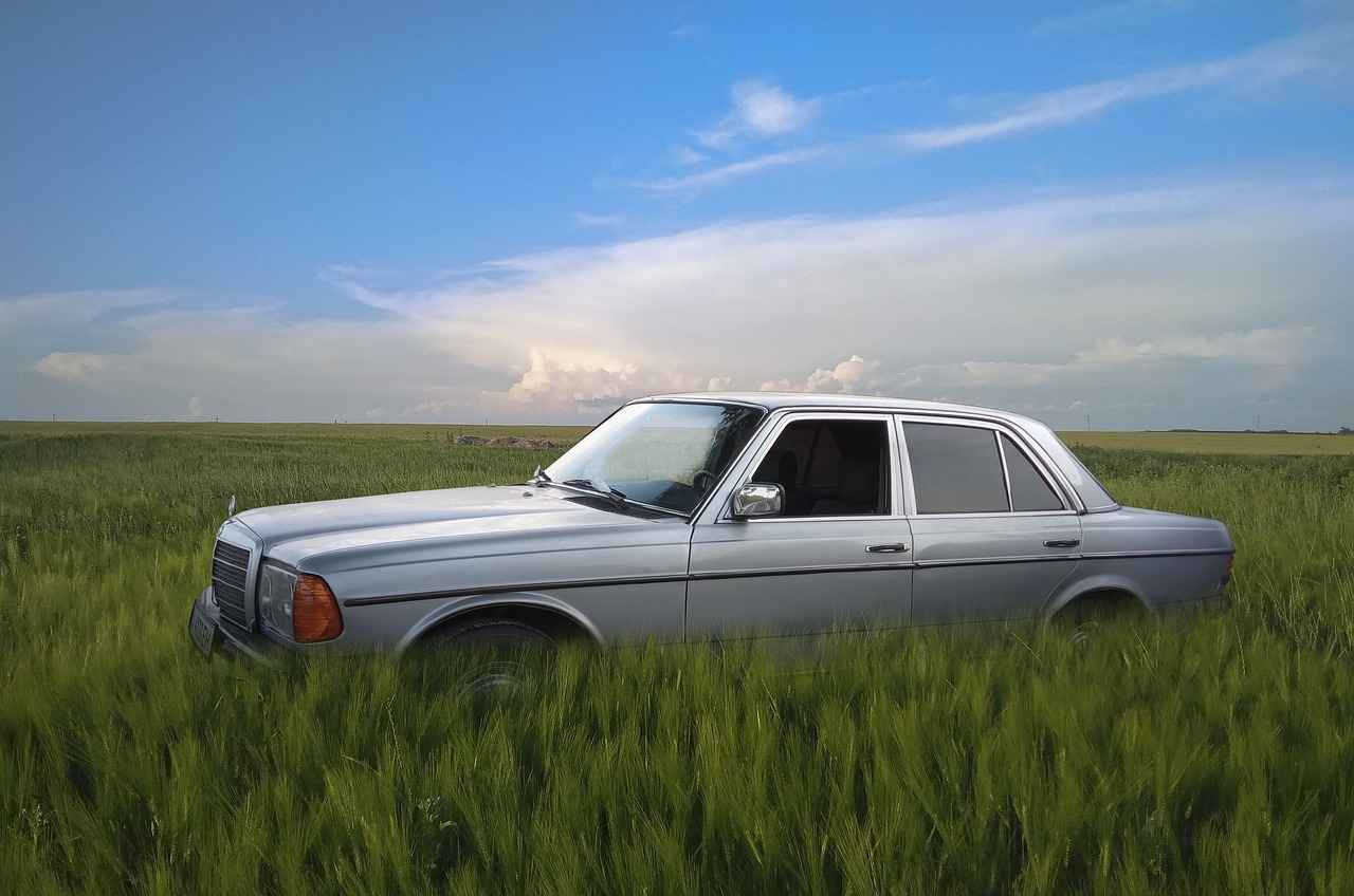 How to Download and Install the 123 Movies App