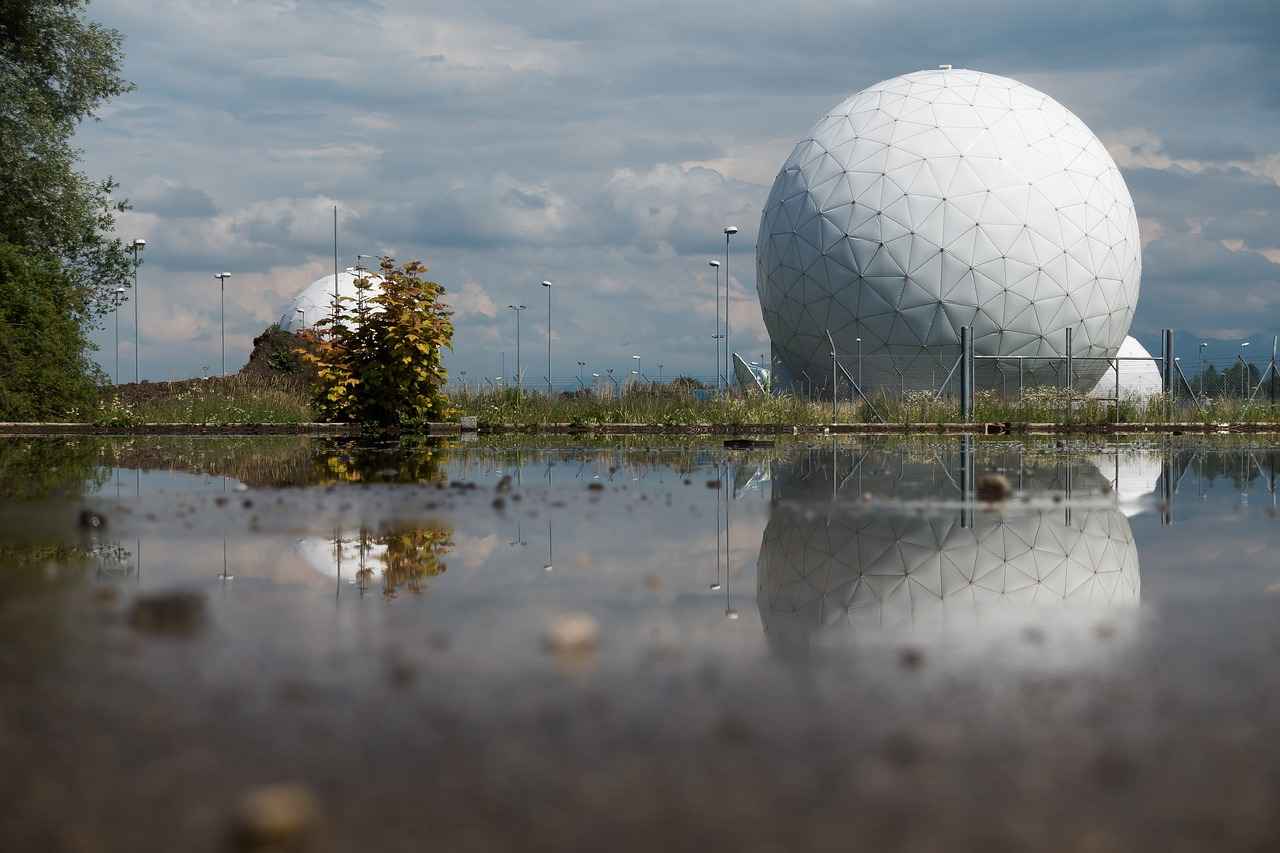 Comparative Analysis: App vs Website