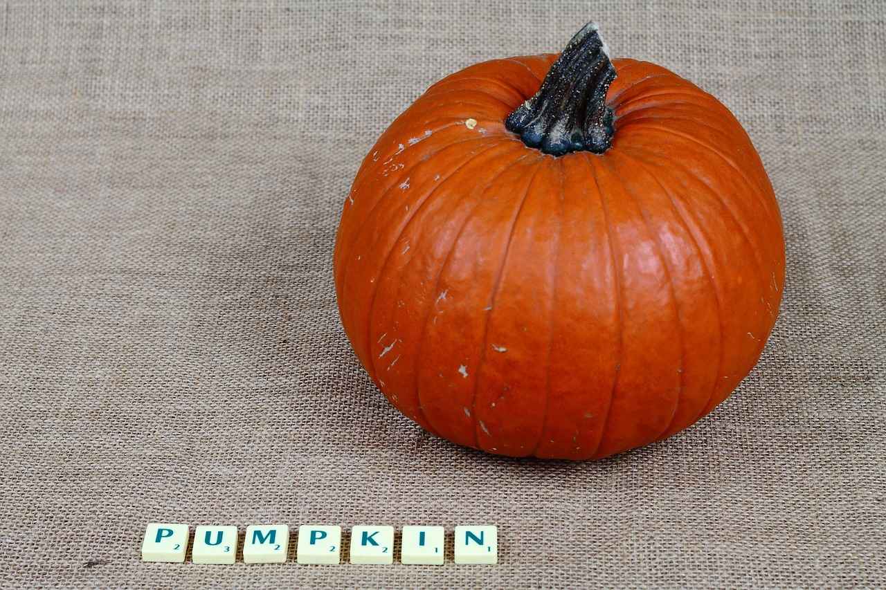 Utilizing Subtitles and Language Options