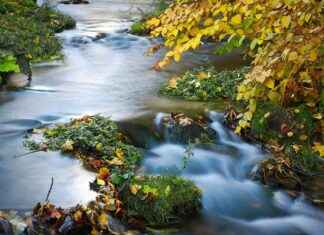 123 Movies: Everything You Need to Know Before Streaming 123 Movies: Everything You Need to Know Before Streaming