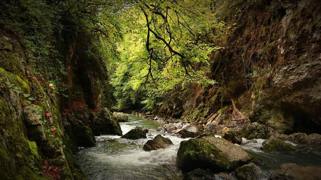 Is 123 Movies Legal to Use?