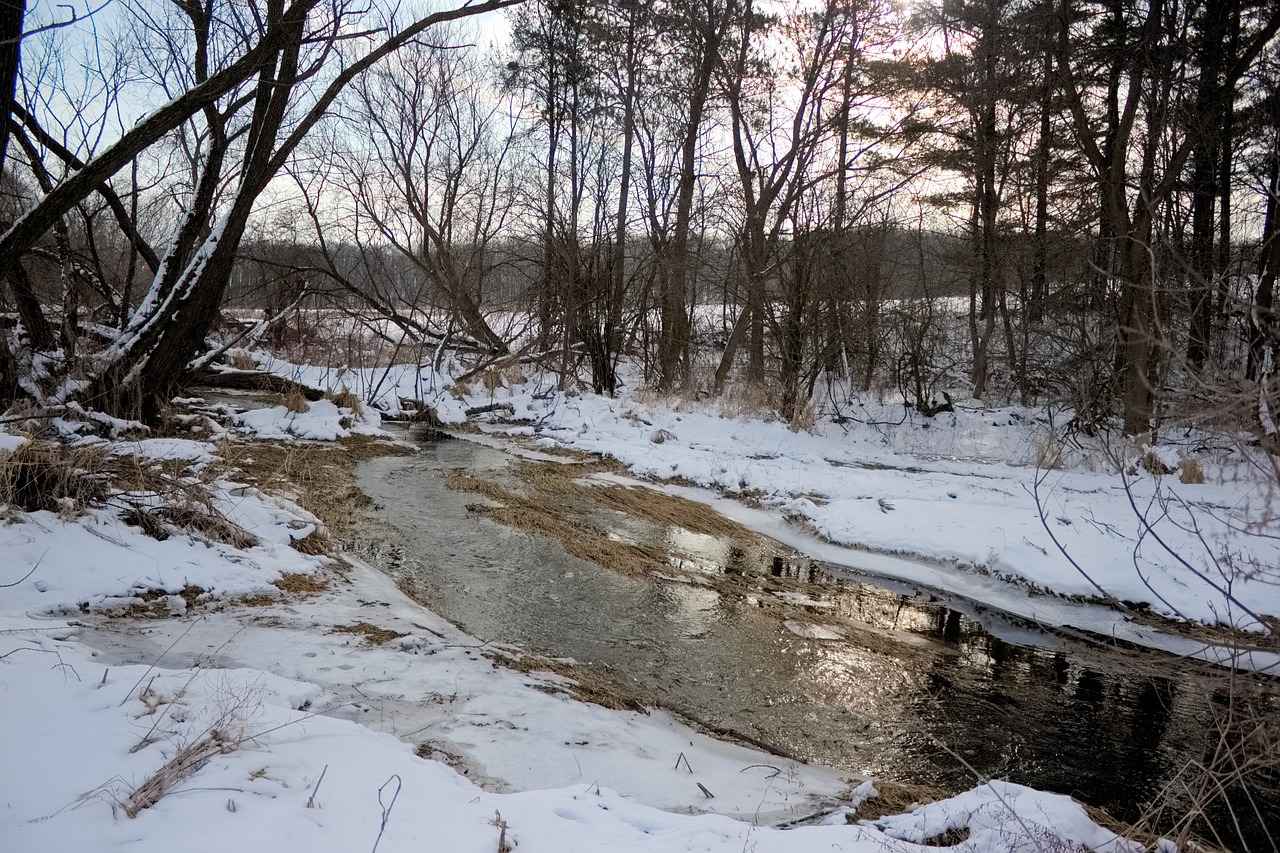 Is 123 Movies Legal and Safe to Use?