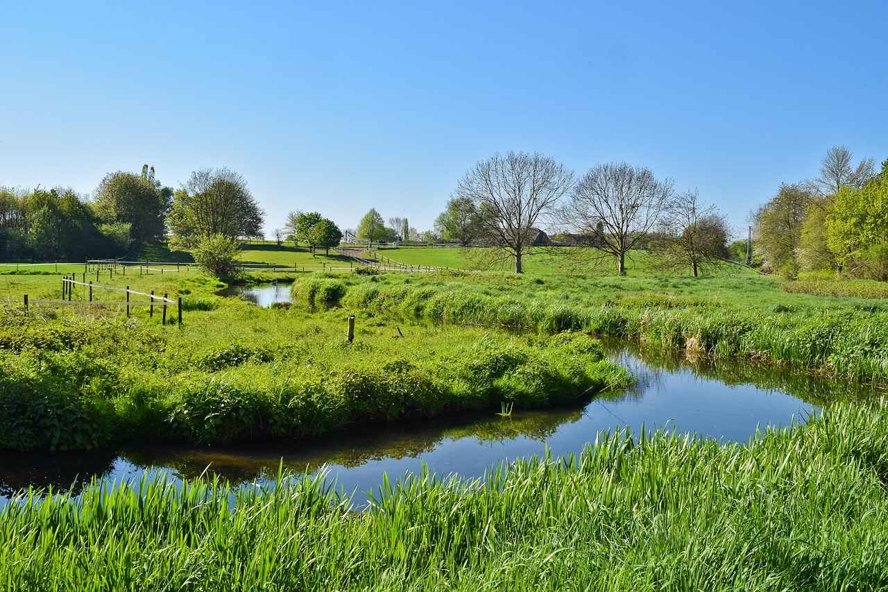 Understanding Full Screen Issues on 123 Movies