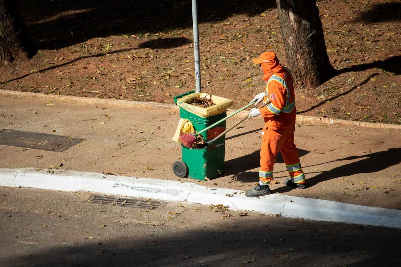 Enhancing Video Quality on 123 Movies