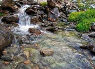 123 Movies Login and Sign-Up: Do You Really Need One? 123 Movies Login and Sign-Up: Do You Really Need One?