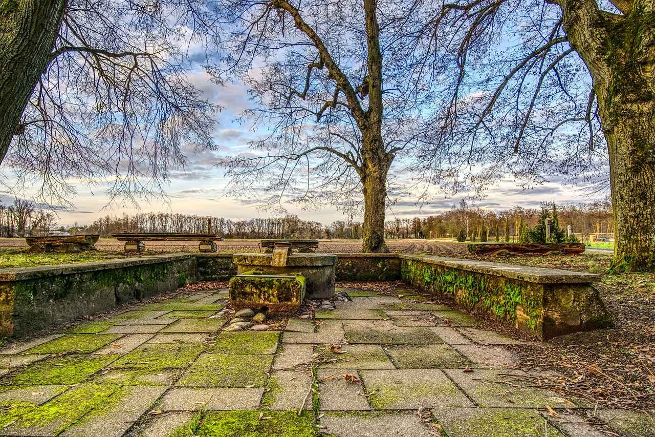 Drama: Emotional Depth and Realism