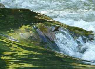 123 Movies.com: How to Watch Safely and Legally 123 Movies.com: How to Watch Safely and Legally