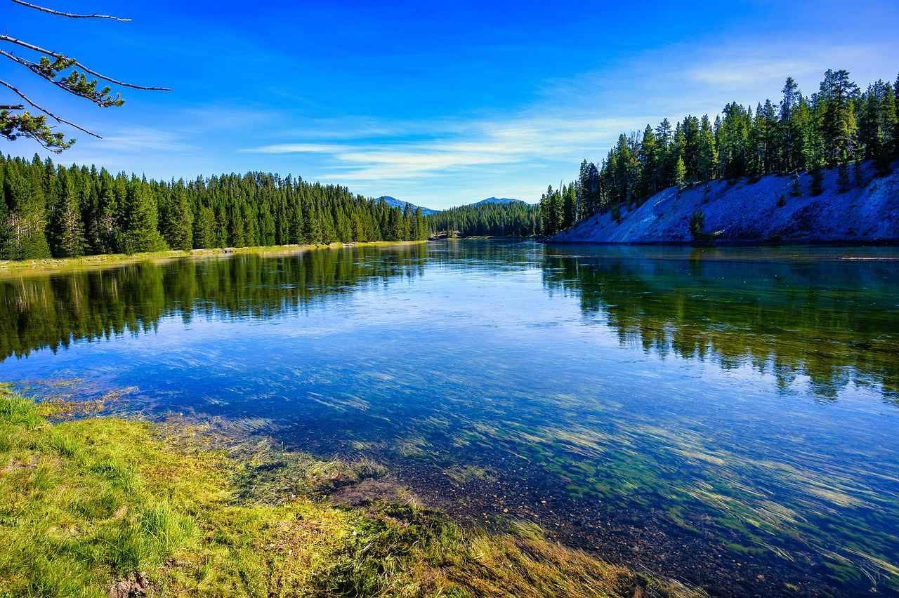 User Reviews: What Are People Saying?