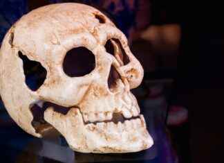 15 Scary Movies for Kids That Won’t Give Them Nightmares 15 Scary Movies for Kids That Won't Give Them Nightmares