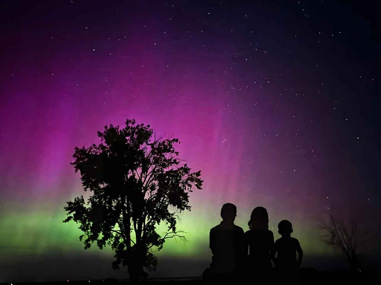 20 Good Movies for Kids That Will Keep Them Entertained 1 1. Finding Nemo