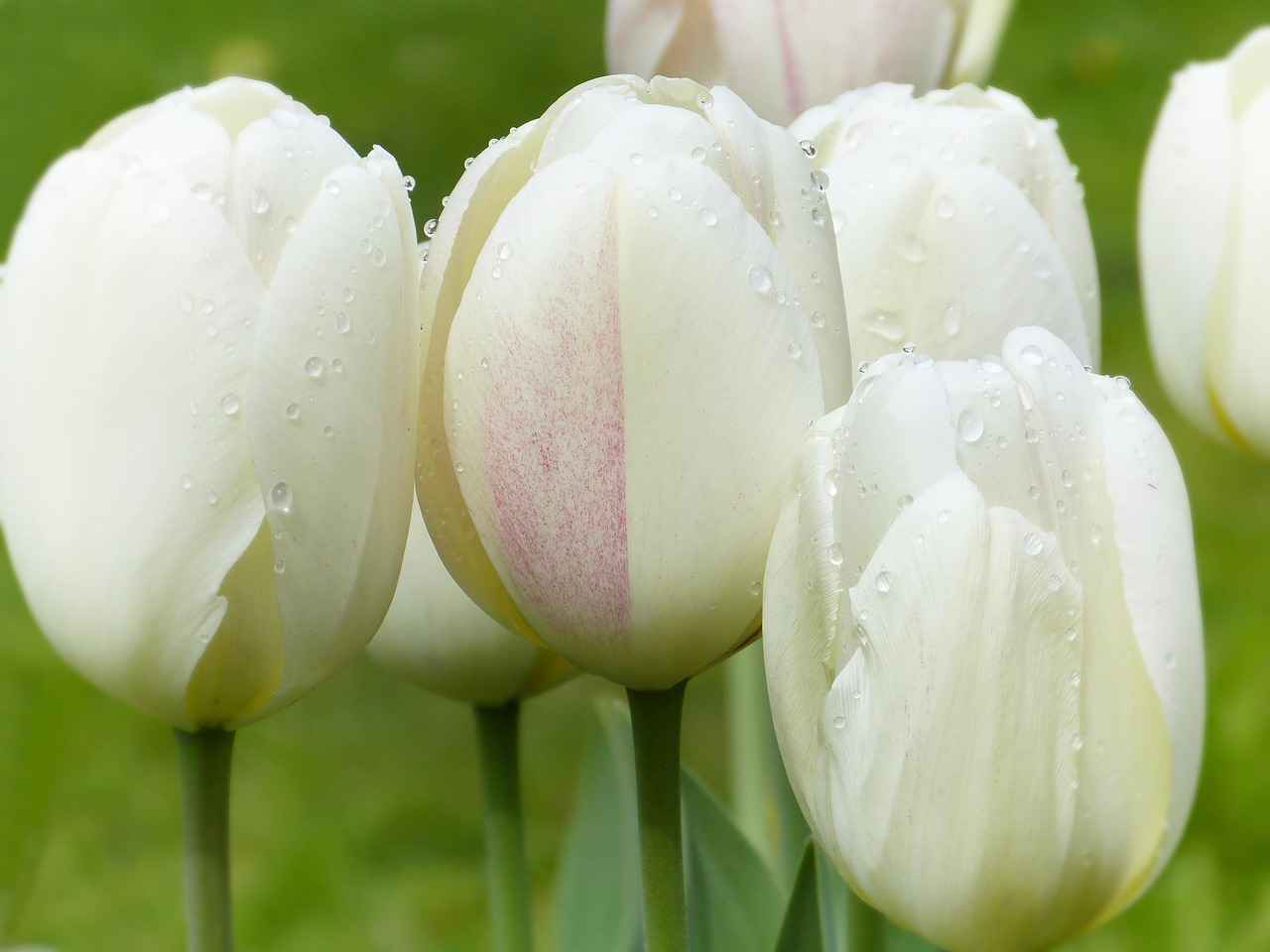 12. Wellness-Centric Designs