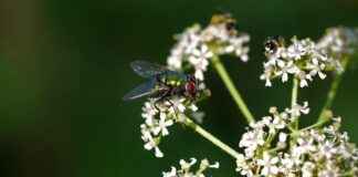 23 Azo Explained: Why It’s Making Noise in Health Circles 23 Azo Explained: Why It’s Making Noise in Health Circles