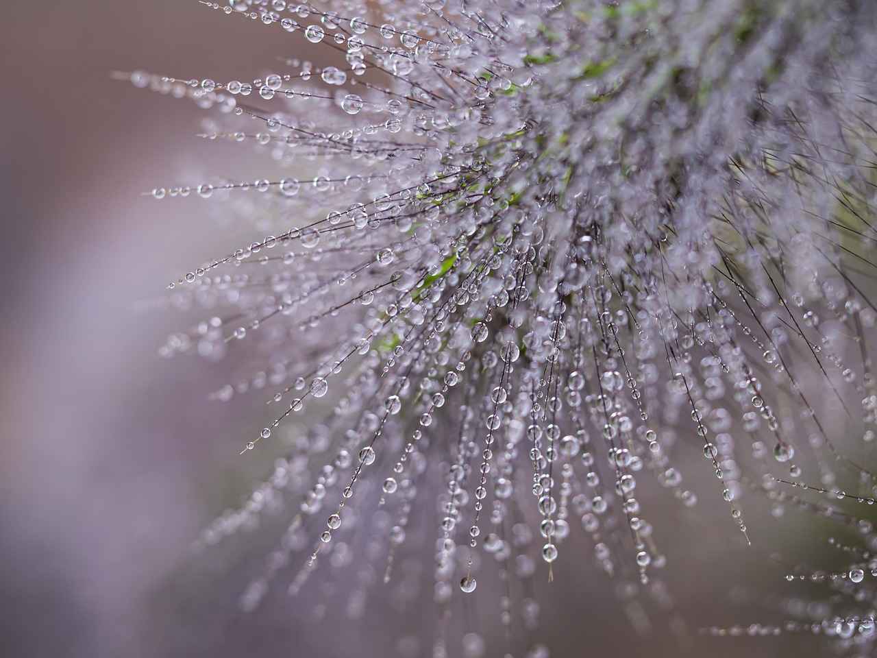 Mental Clarity and Focus