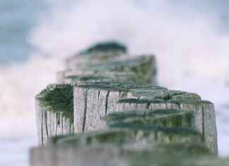 3-Day Water Fast Before and After: Transformative Results 3-Day Water Fast Before and After: Transformative Results