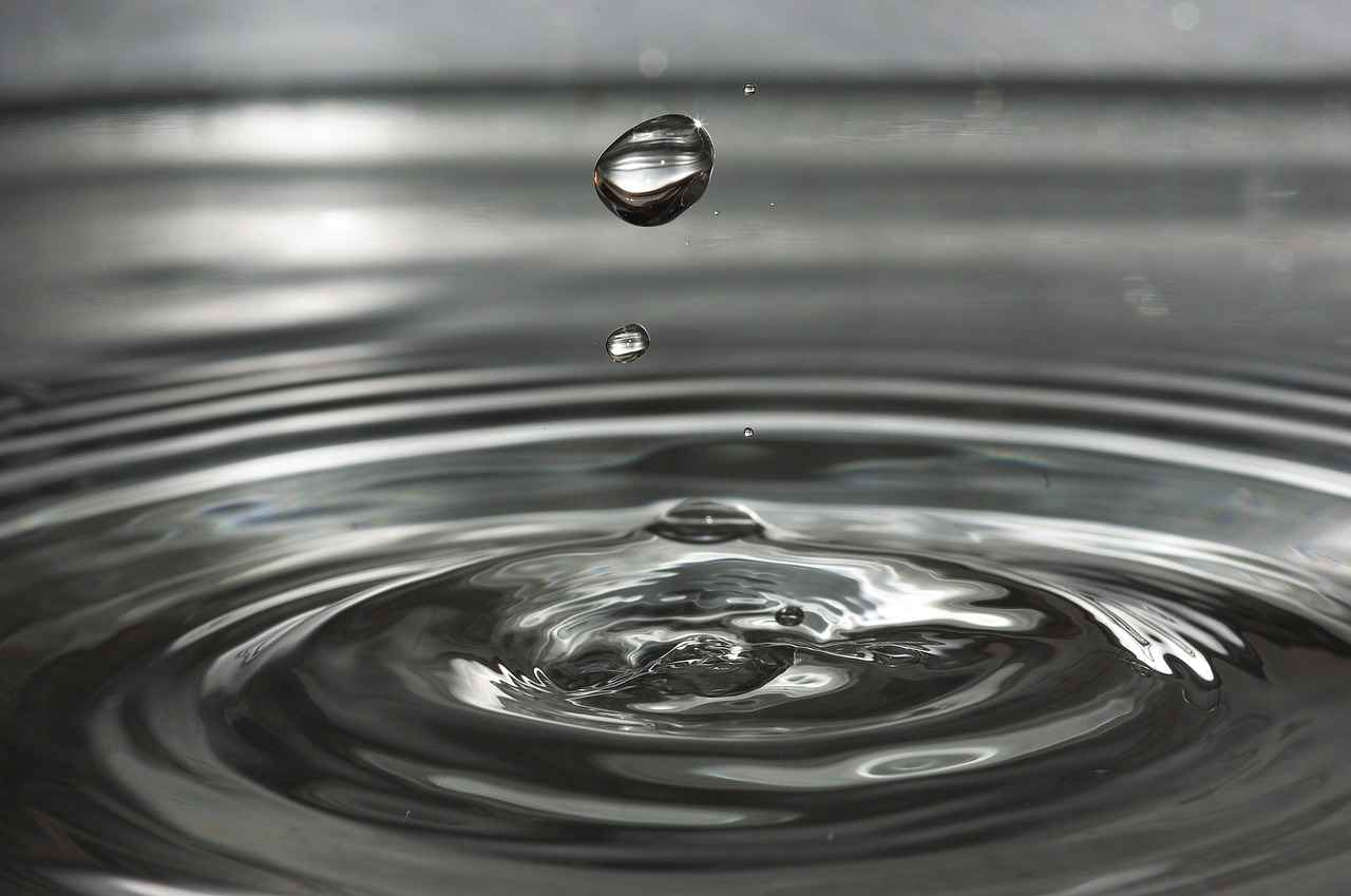 4-Day Water Fast: Benefits, Risks, and Tips 4 Who Should Avoid a 4-Day Water Fast?
