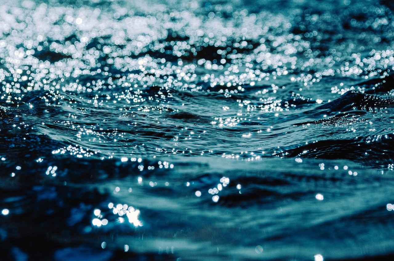 5-Day Water Fast: Is It the Perfect Reset for Your Body? 4 Preparing for a 5-Day Water Fast