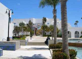 5 Tips for Buying a Pre-Owned Honda Civic 5 Tips for Buying a Pre-Owned Honda Civic