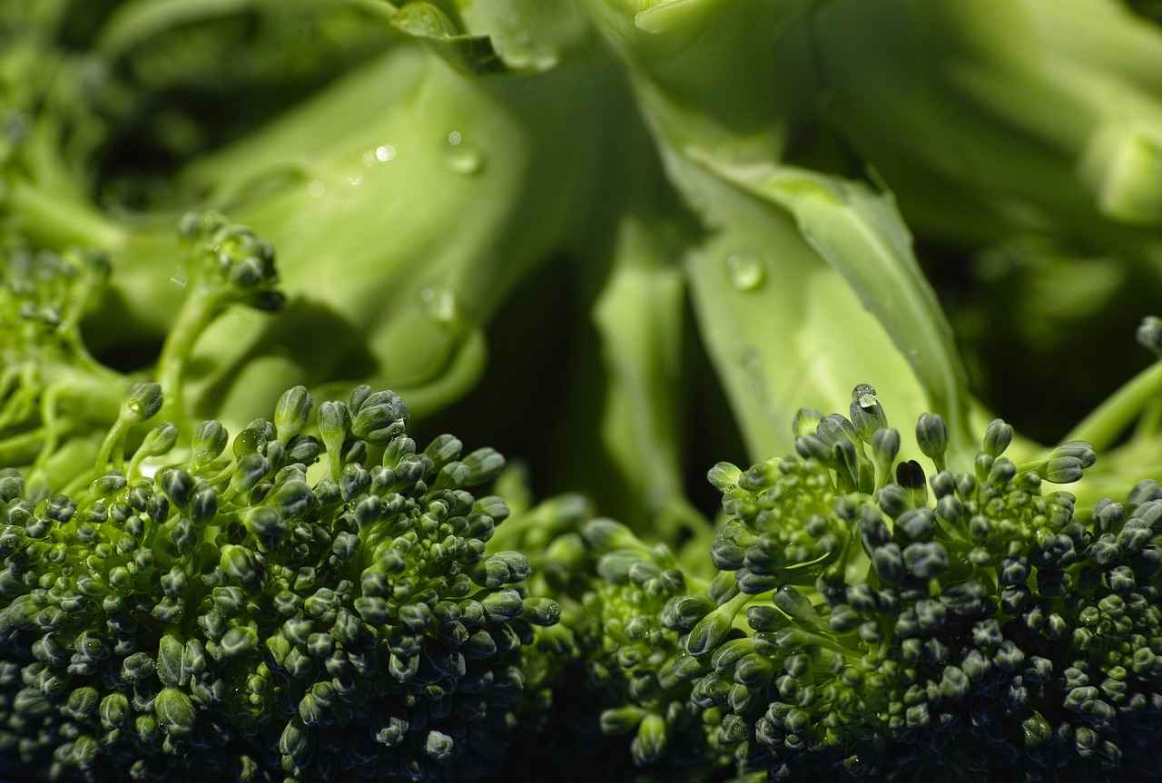 7 Best Vegetable Choppers for Making Healthy Meals Faster 5 Conclusion: Elevate Your Cooking Experience