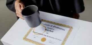 7 Brew Rewards Hack Unlocking Free Drinks And Hidden Perks 7 Brew Rewards Hack Unlocking Free Drinks And Hidden Perks