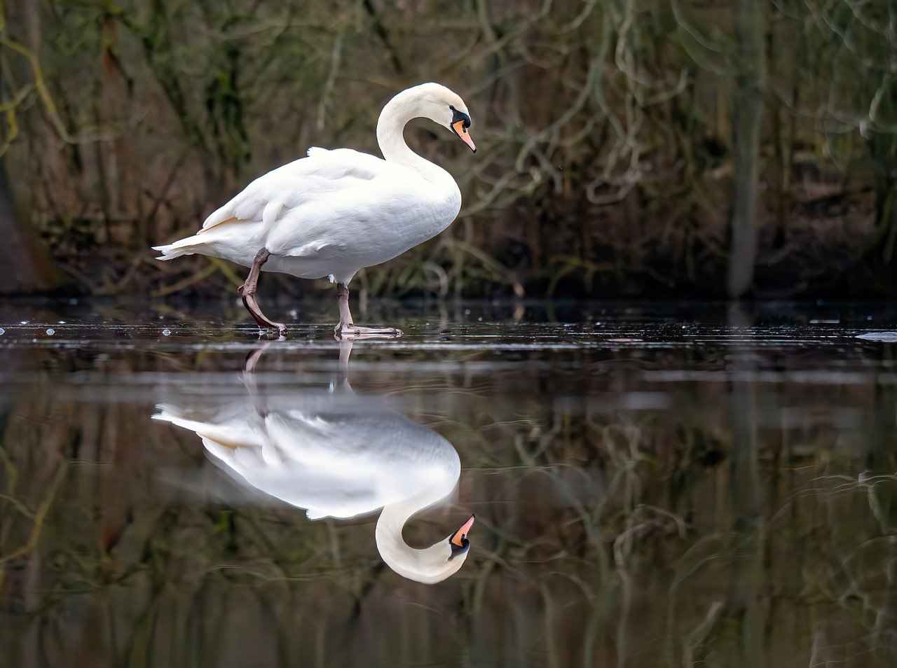 7-Day Water Fast Before and After: Real Transformations 3 Challenges Faced During a Water Fast