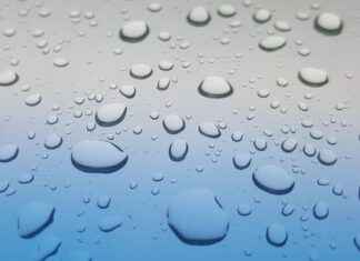 7-Day Water Fast Benefits: Is It Worth It? 7-Day Water Fast Benefits: Is It Worth It?