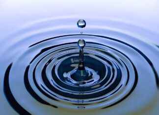 7-Day Water Fast Benefits: What Happens in a Week Without Food? 7-Day Water Fast Benefits: What Happens in a Week Without Food?