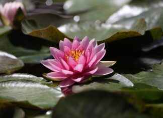 7-Day Water Fast: What to Expect and How to Prepare 7-Day Water Fast: What to Expect and How to Prepare