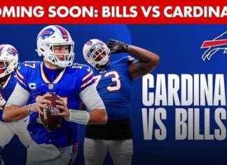 Arizona Cardinals vs Buffalo Bills Match Player Stats Arizona Cardinals vs Buffalo Bills Match Player Stats