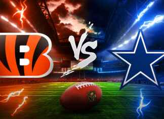 Bengals vs Dallas Cowboys Match Player Stats Bengals vs Dallas Cowboys Match Player Stats