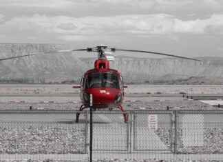 A Guide to the Best Vegetable Choppers Available Online A Guide to the Best Vegetable Choppers Available Online