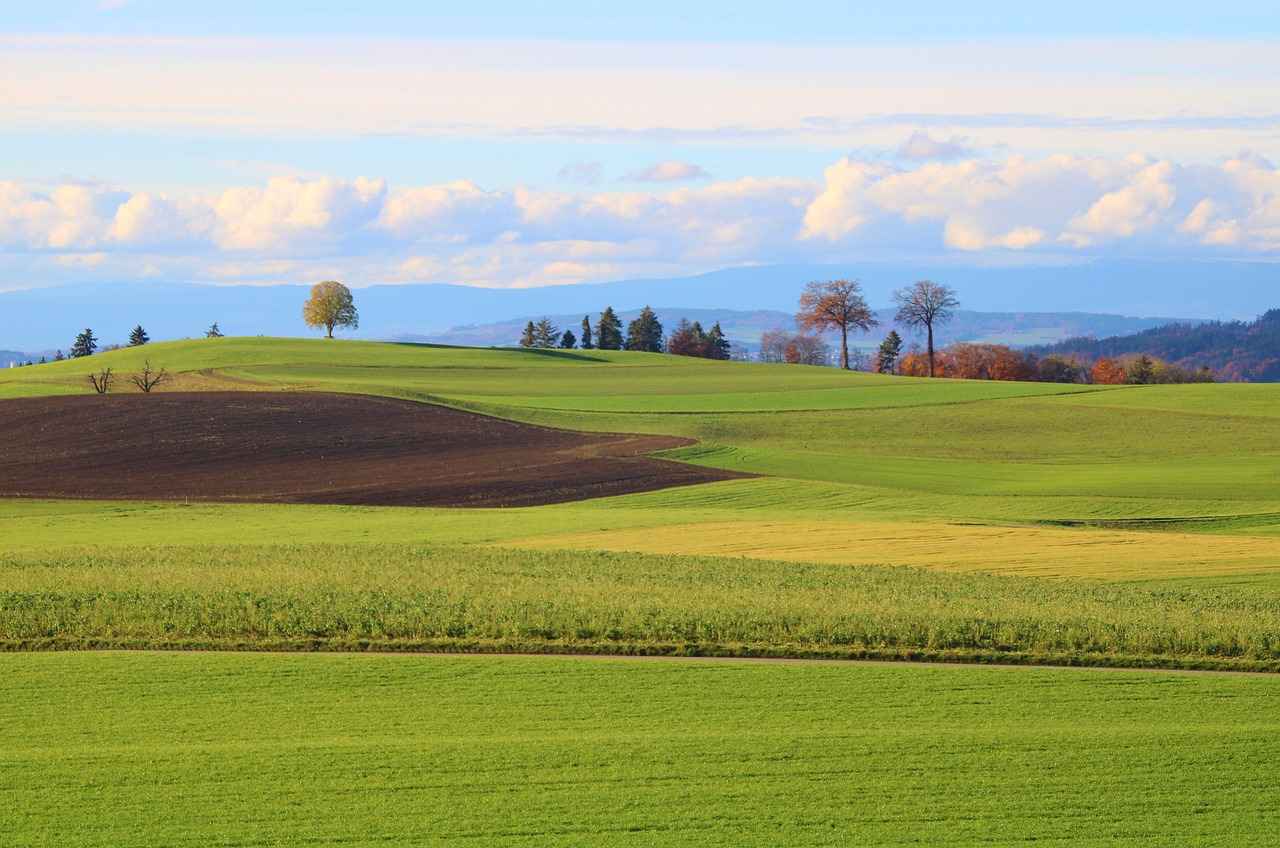 2. Types of Bedside Phone Holders
