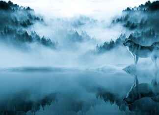 AA Thought for the Day: Powerful Reflections You Need to Hear AA Thought for the Day: Powerful Reflections You Need to Hear