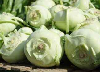 Acetyl-L-Carnitine: The Brain-Boosting Amino Acid Acetyl-L-Carnitine: The Brain-Boosting Amino Acid