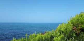 Adele Nude: The Controversy and Media Buzz Surrounding Celebrity Privacy Adele Nude: The Controversy and Media Buzz Surrounding Celebrity Privacy