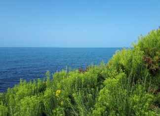 Adele Nude: The Controversy and Media Buzz Surrounding Celebrity Privacy Adele Nude: The Controversy and Media Buzz Surrounding Celebrity Privacy