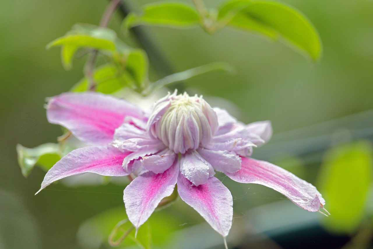 Functional Features in Modern Double Beds