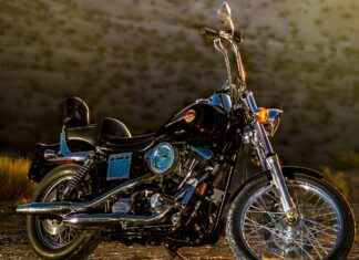 Affordable Vegetable Choppers That Save You Time and Money Affordable Vegetable Choppers That Save You Time and Money