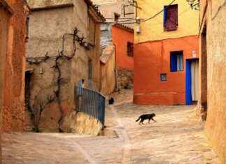 Alexa-Enabled Smart Home Devices for an Effortless Experience Alexa-Enabled Smart Home Devices for an Effortless Experience