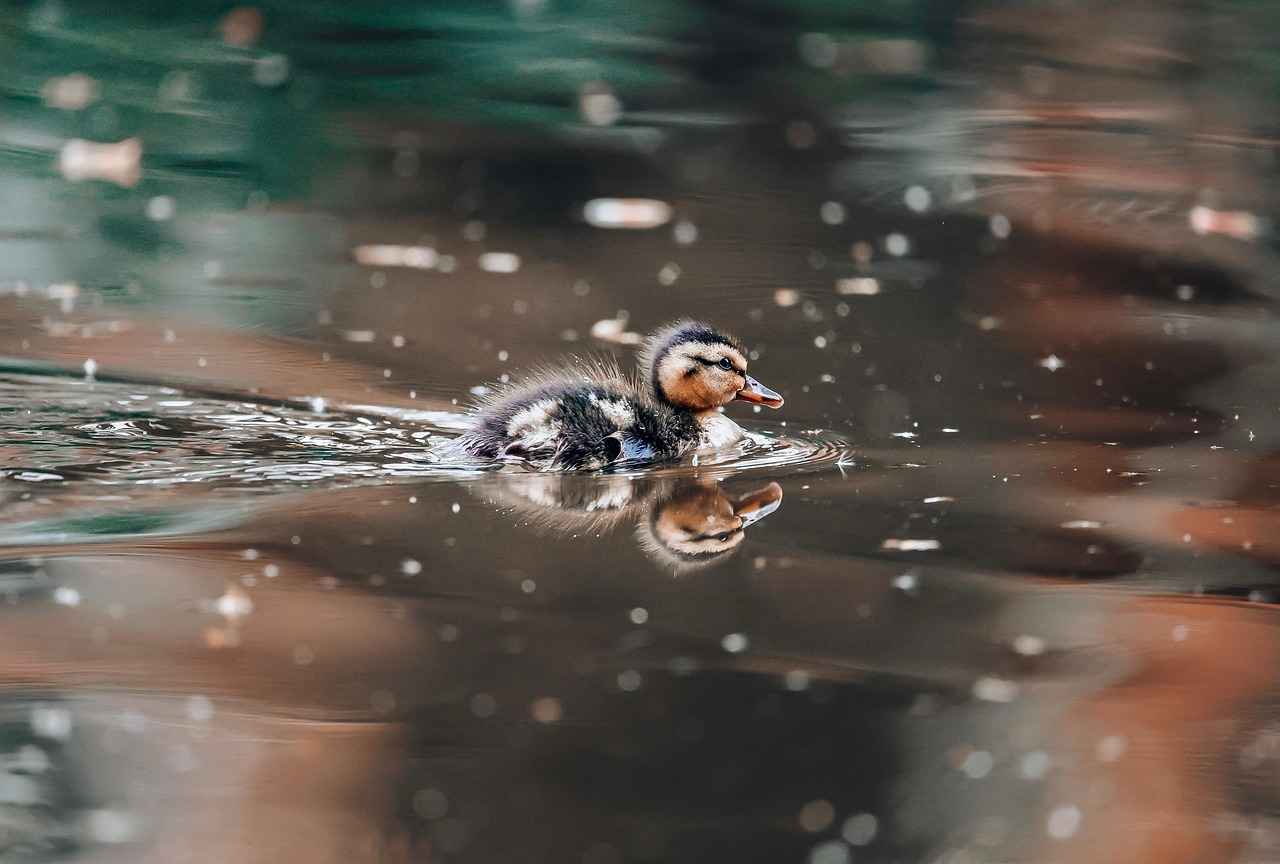 8. Color and Material Choices for Small Beds