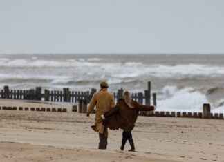 Amazing Bed Design Inspirations for Couples’ Bedrooms Amazing Bed Design Inspirations for Couples’ Bedrooms