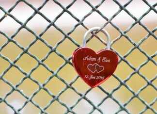 Amy Adams Nude Roles and Hollywood’s Privacy Double Standards Amy Adams Nude Roles and Hollywood's Privacy Double Standards