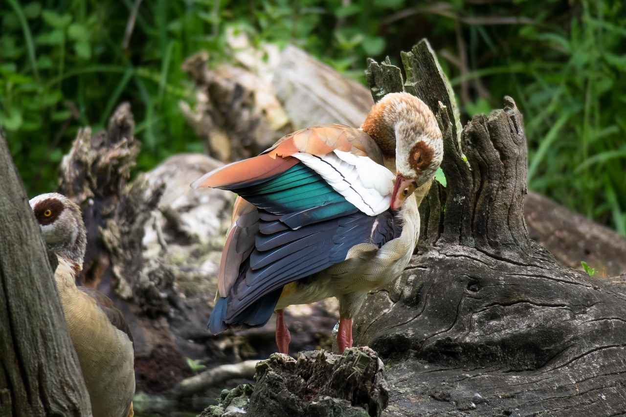 What Role Did Jewelry Play in Social Status?