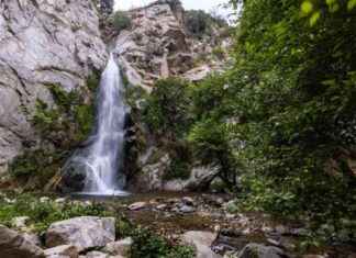 Angeles National Forest Reopens Trails and Campsites for Spring Break angeles-national-forest-reopens-trails-and-campsites-for-spring-break